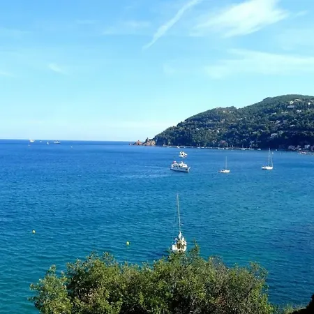 Daire Collines Du Capitou Mandelieu
